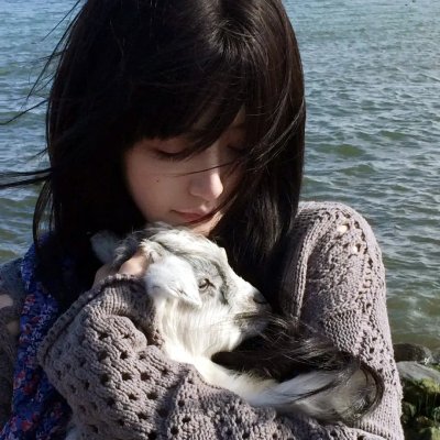 卧虎藏龙